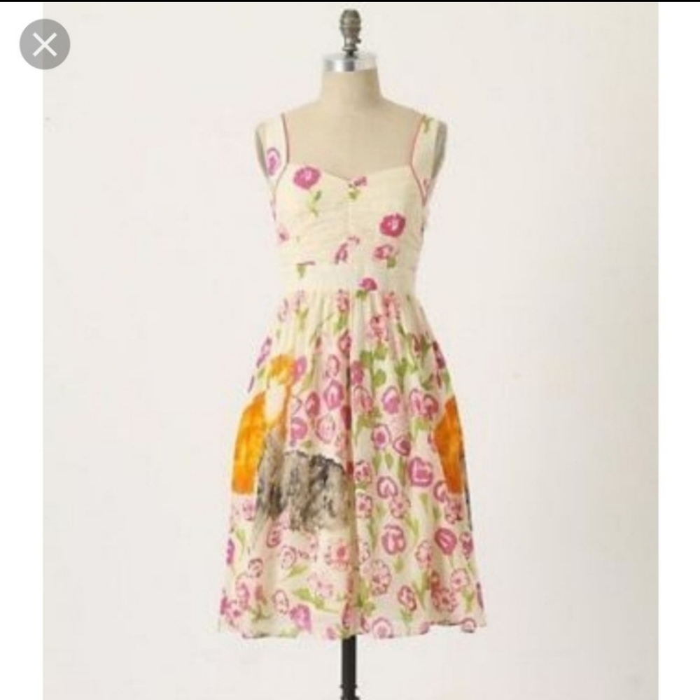 Anthropologie Floreat Morning Stroll dress size 2